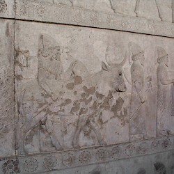 - thumbnail 05 babylonians 1 - Ancient Relief of Lydians Tribute Bearers Persepolis Apadana FG190