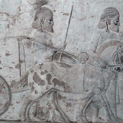- thumbnail 06 lydians 2 - Ancient Relief of Lydians Tribute Bearers Persepolis Apadana FG190