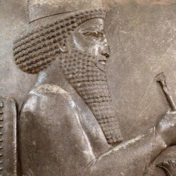 - thumbnail darius - Ancient Relief of King Darius The Great Persepolis Apadana FG180