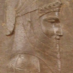 - thumbnail proskynesis08 magian - Ancient Relief of King Darius The Great With Lotus Border Persepolis Apadana FG250